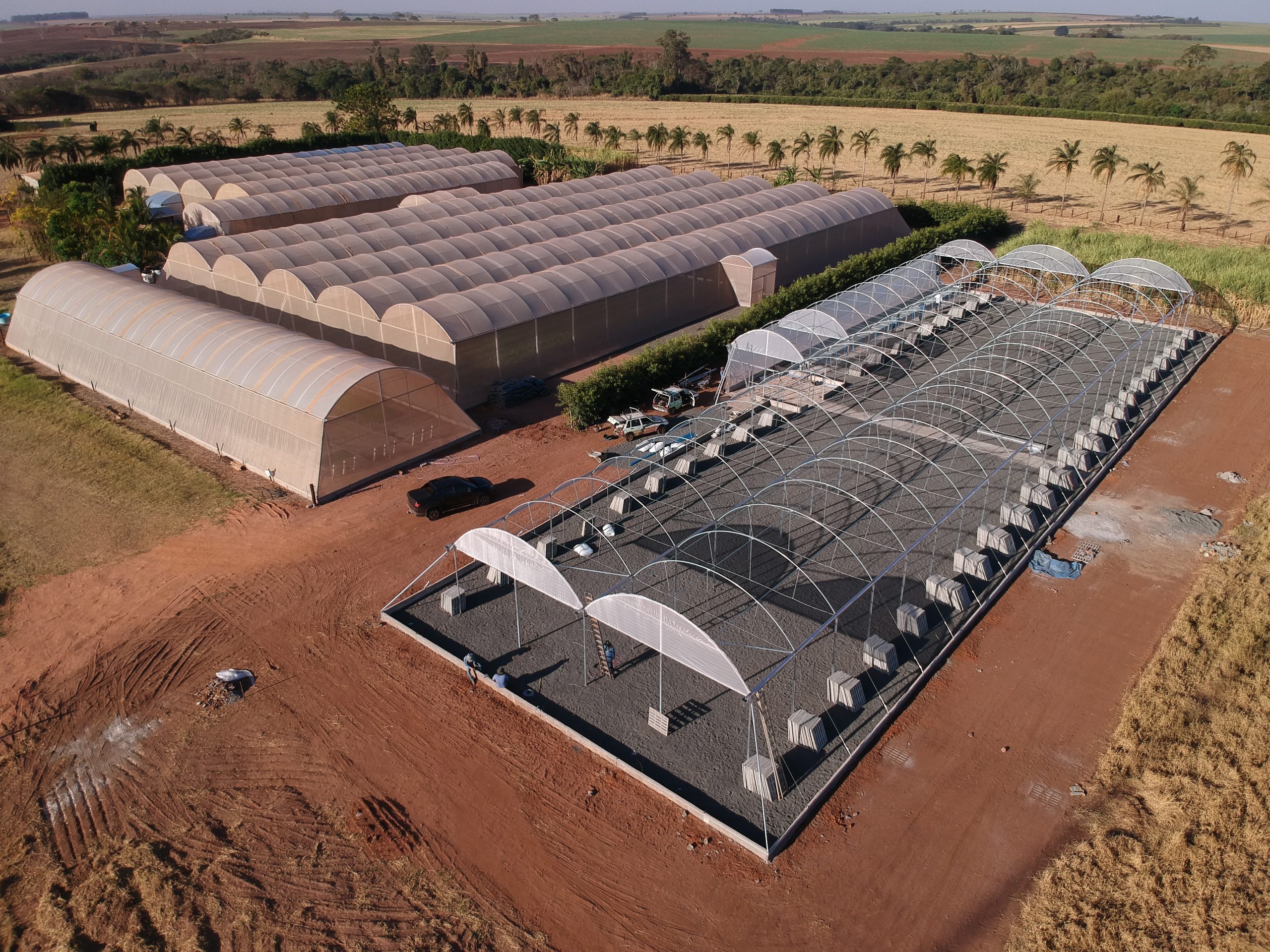 As Maiores Estufas Agrícolas do Mundo