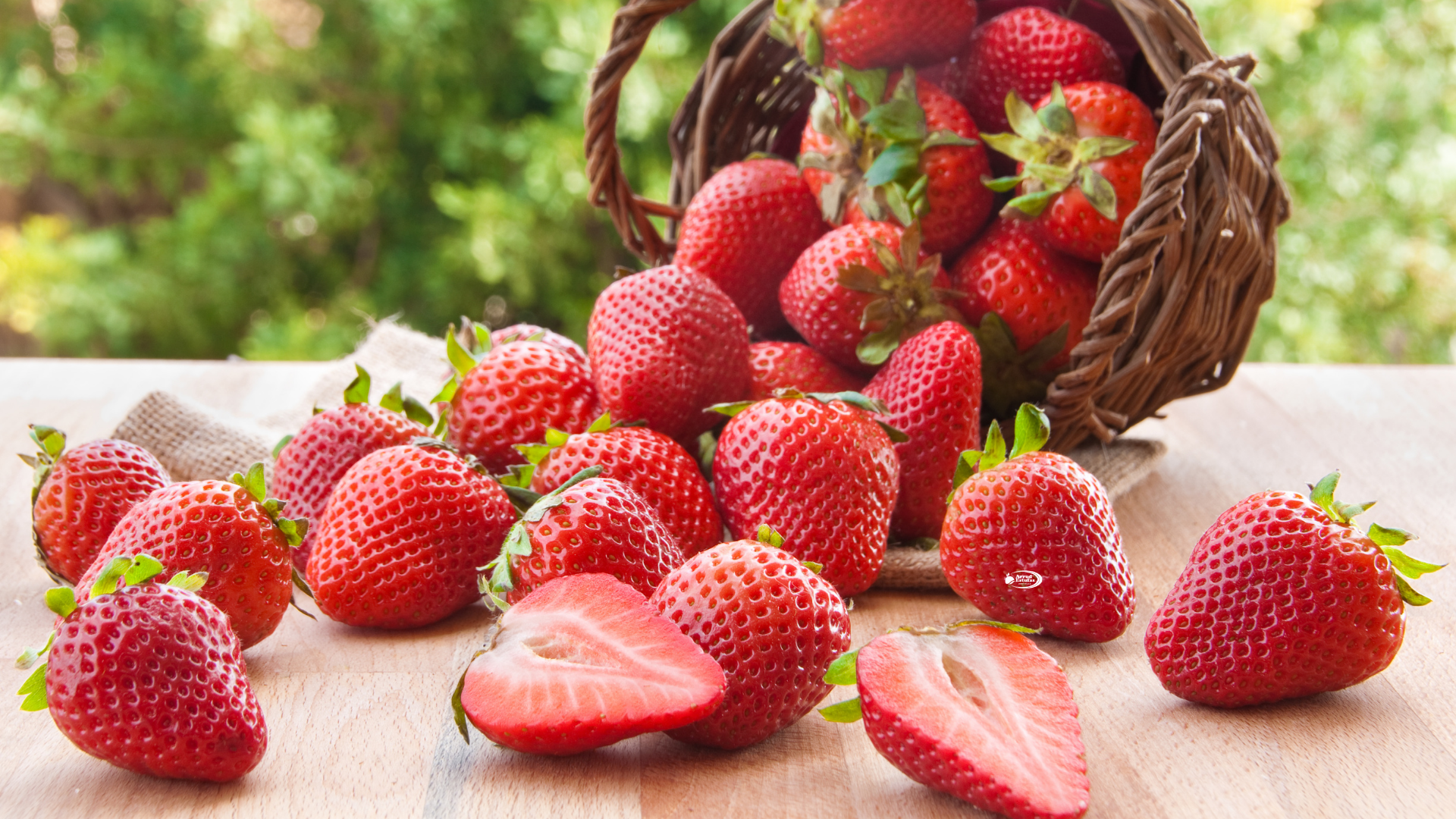 Estufas para Cultivo de Morangos – Dicas e Benefícios