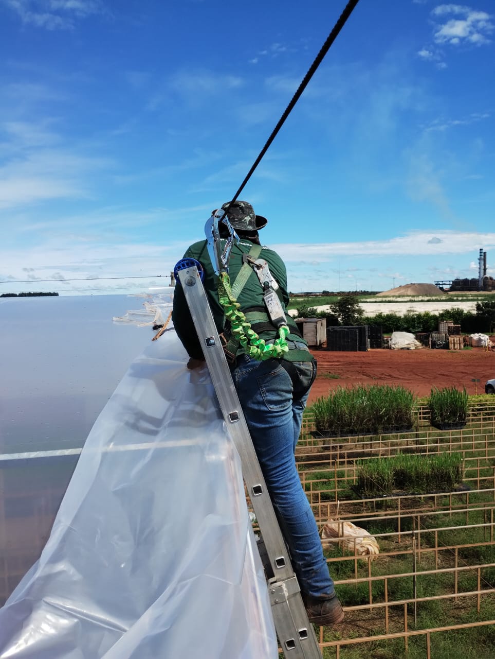 Manutenção Preventiva em Estufas Agrícolas: O Que Você Precisa Saber