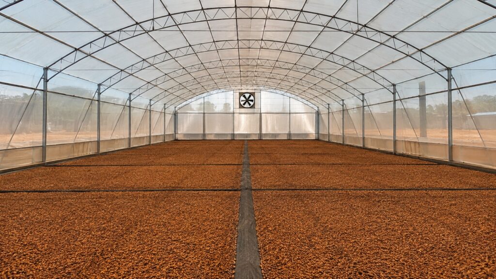 Estufa de secagem coberta com lona plástica transparente para secagem solar